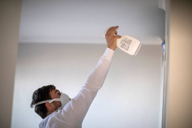 Best Office Mold Removal Services  in The Hills, NJ
