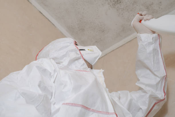 Best Office Mold Removal Services  in The Hills, NJ
