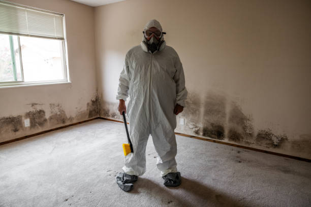 Best Commercial Mold Removal  in The Hills, NJ